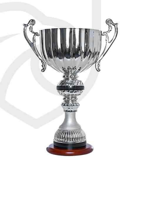 https://csmbucuresti.ro/wp-content/uploads/2022/11/trophy_overlay_01.jpg